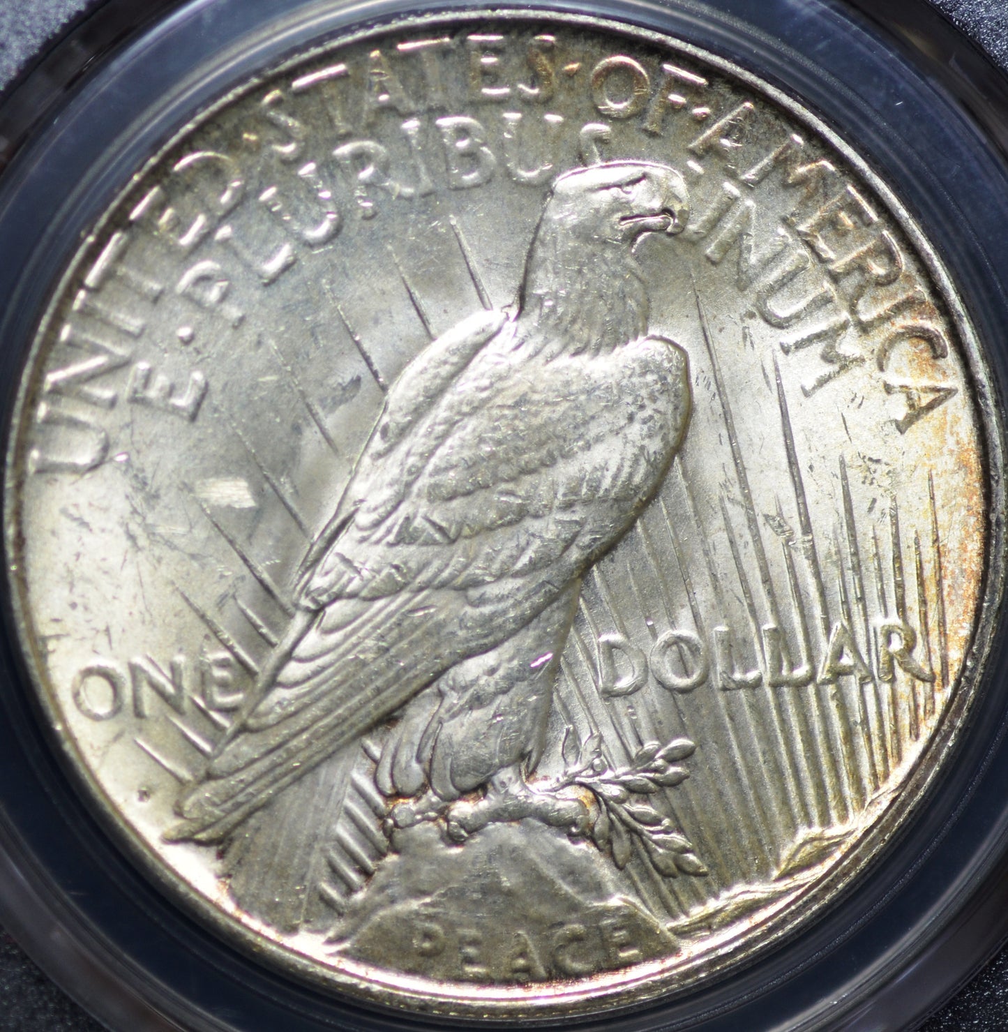 1923-D Peace Dollar MS63 PCGS