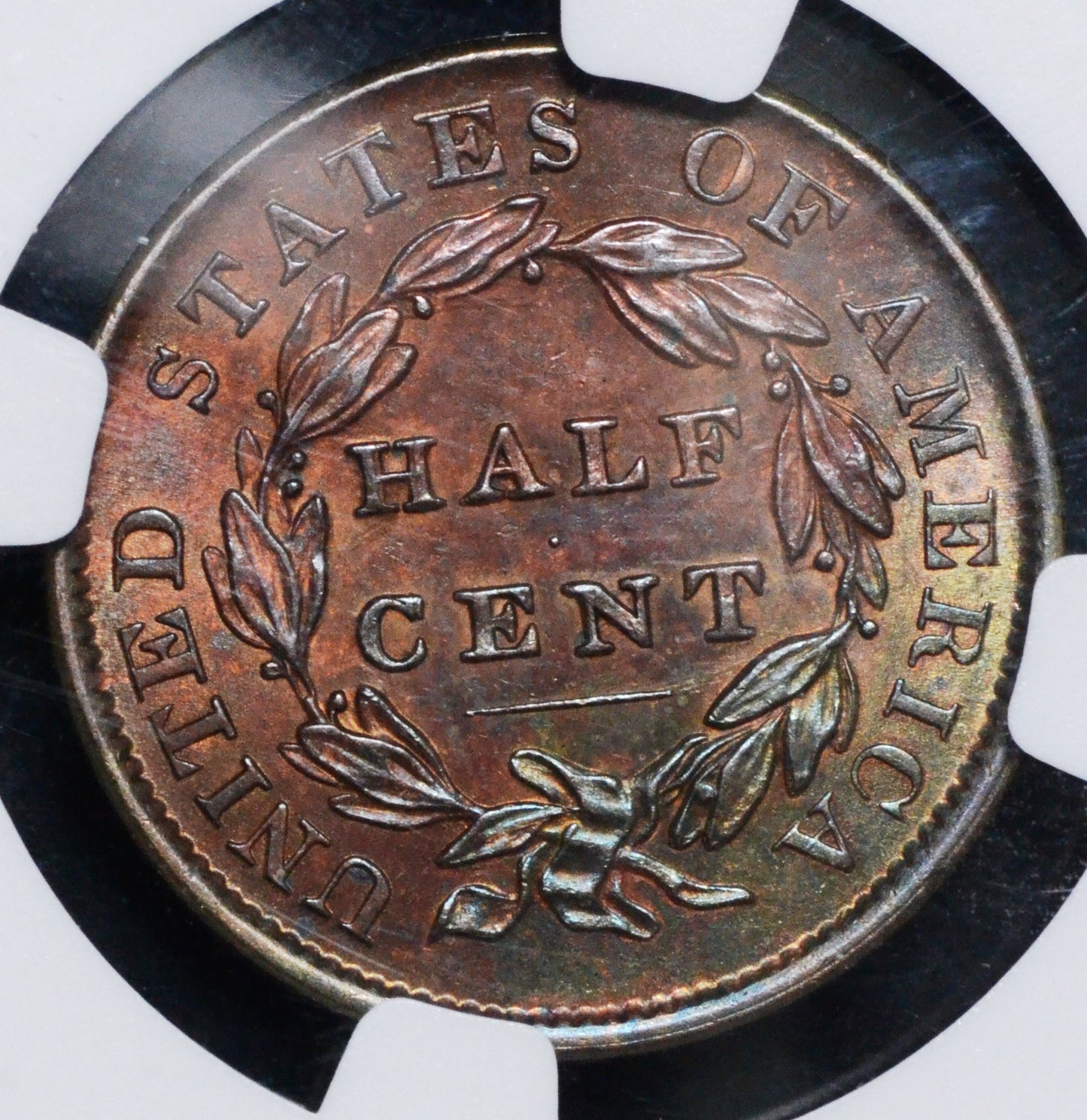 1835 Classic Head Half Cent Unc Details NGC